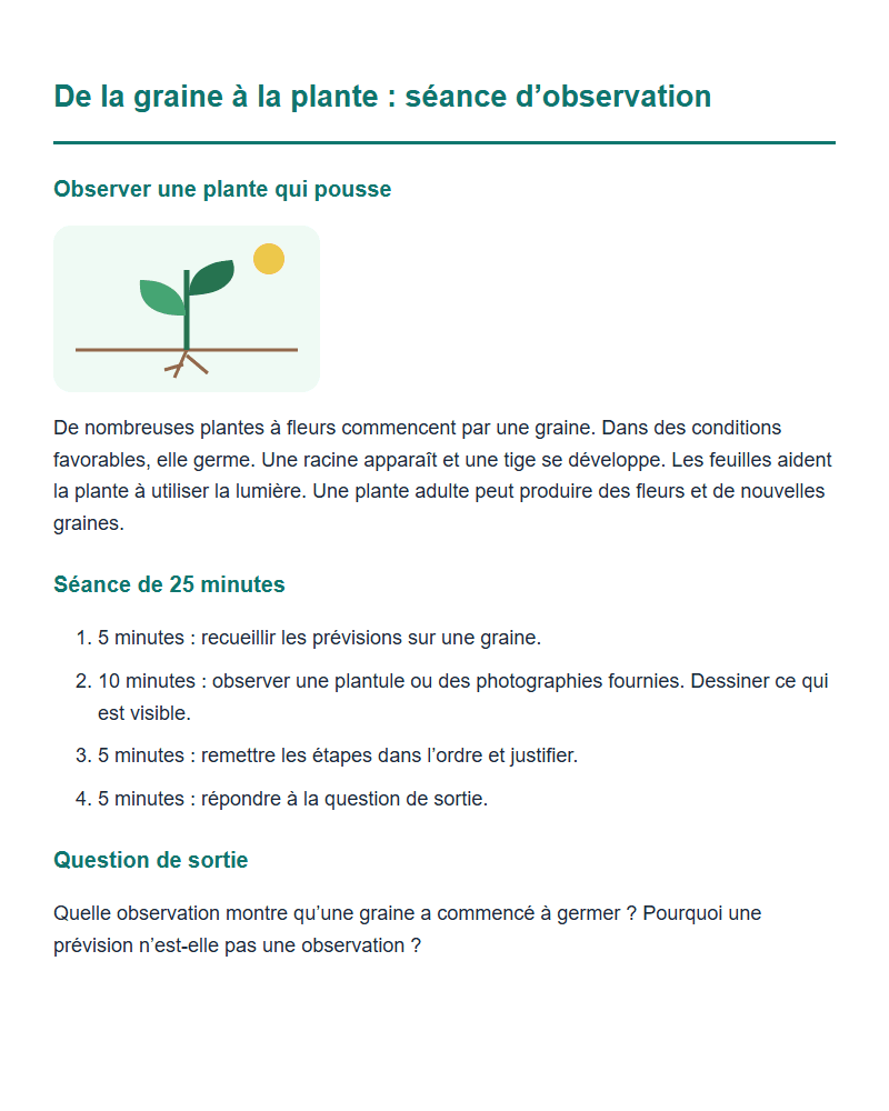 De la graine à la plante : séance d’observation