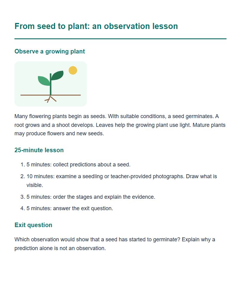 From seed to plant: an observation lesson